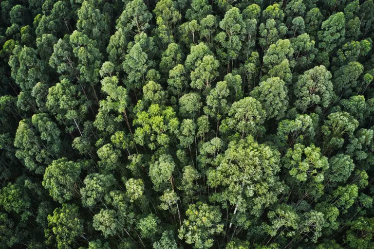 Transizione ecologica